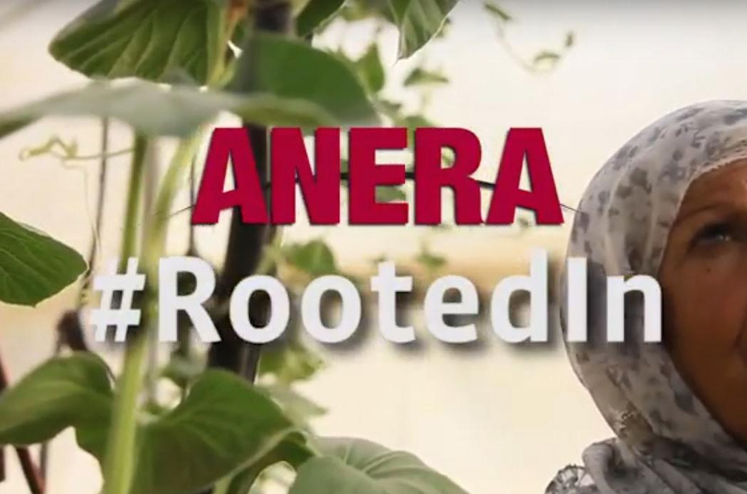 Anera is rooted in the communities we serve