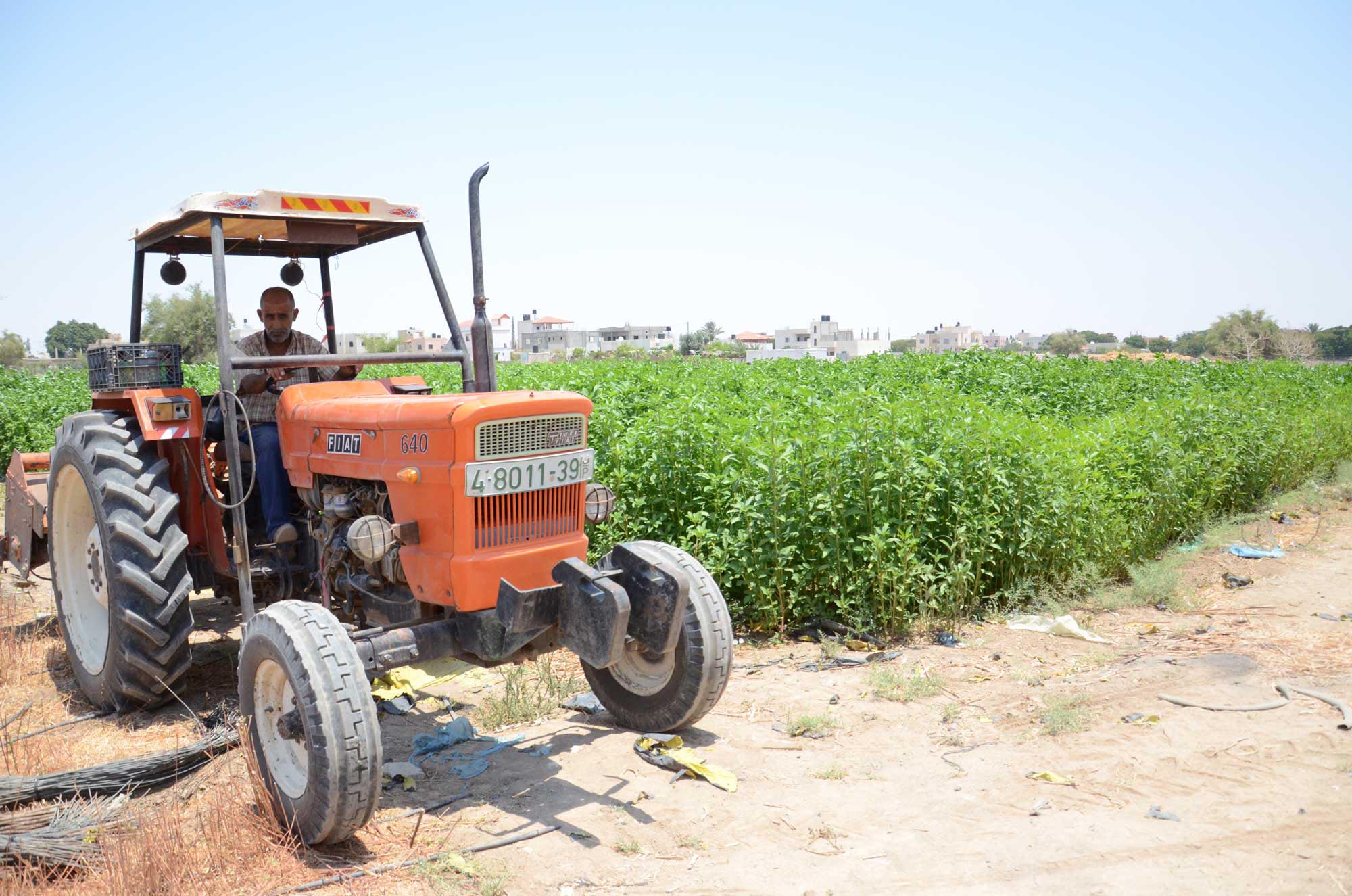 Jericho farmer on his farm that Anera helped to irrigate