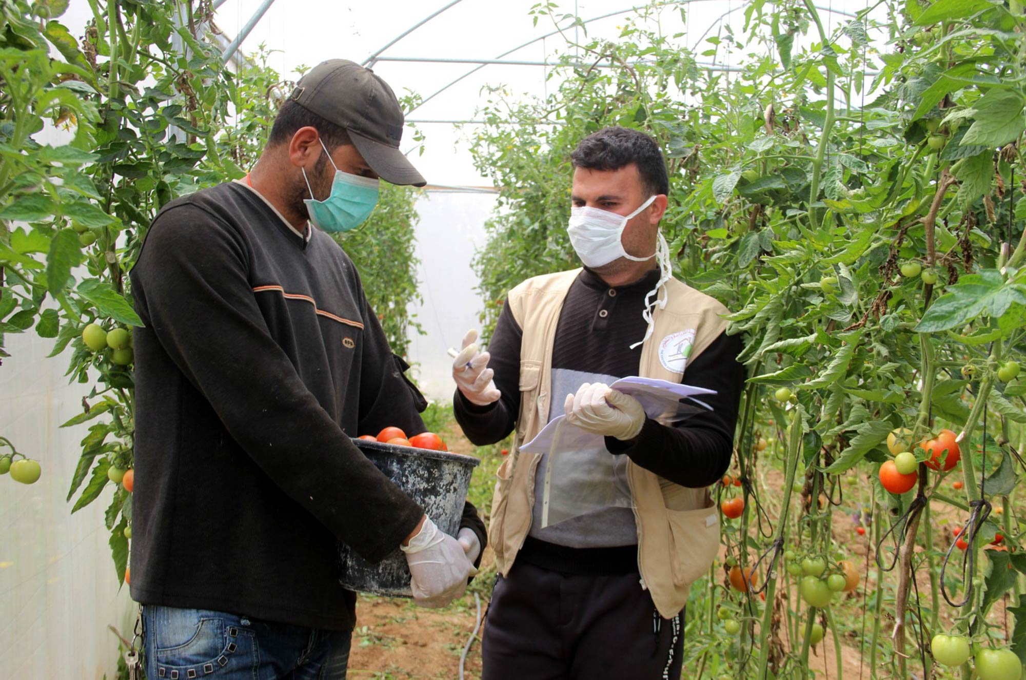 Osama talks about the repairs to his greenhouses following the storm damage.