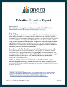 First page of Anera's June 21, 2024 Palestine situation report.