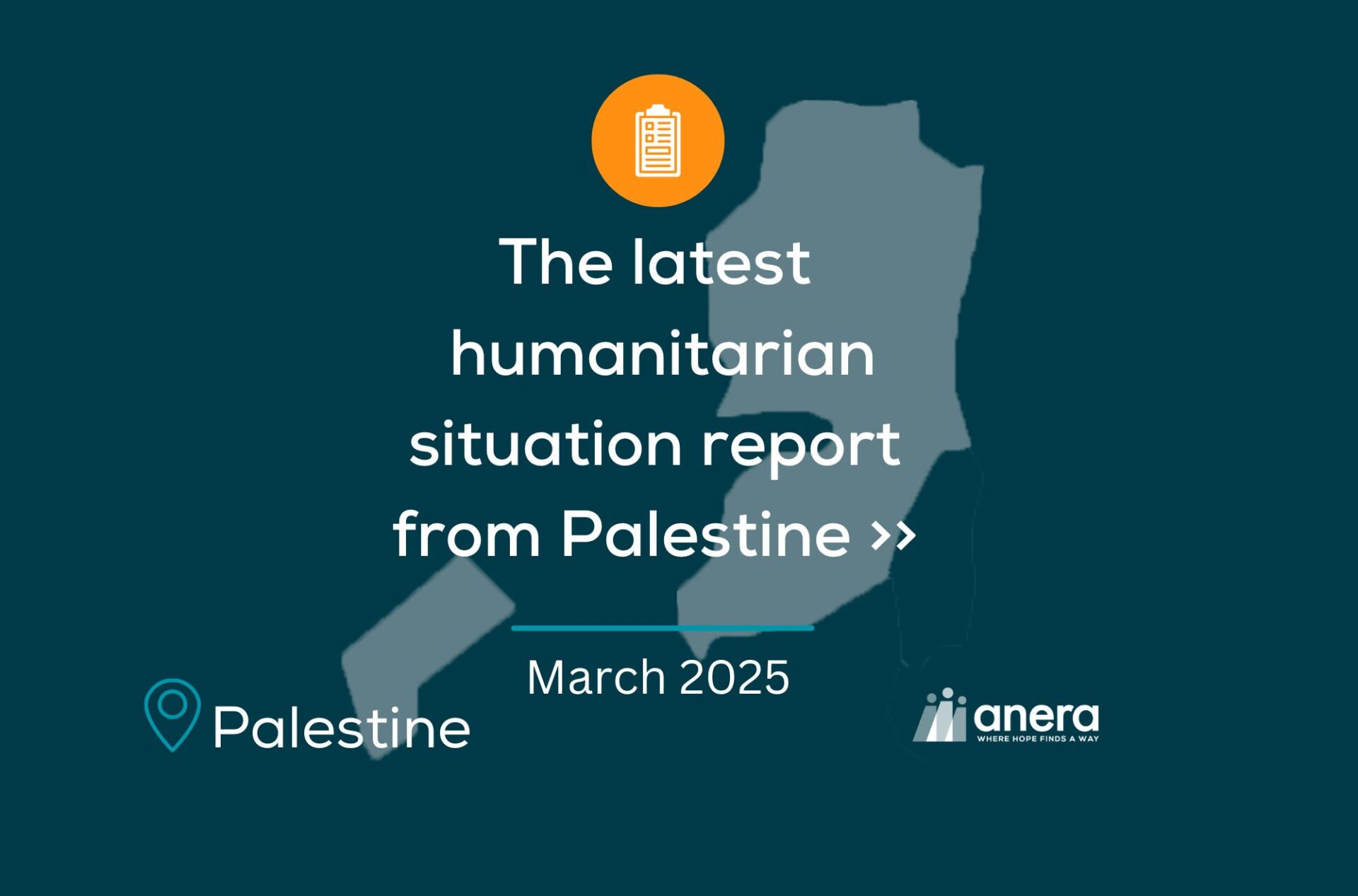 Palestine situation report March 2025 cover image